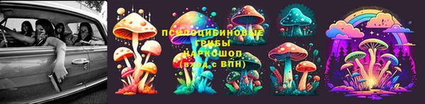 2c-b Волосово